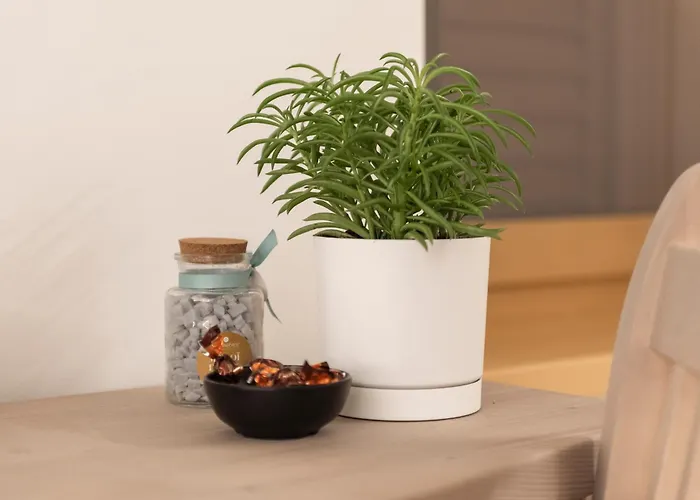 Ristorante E In Sella Pozzis